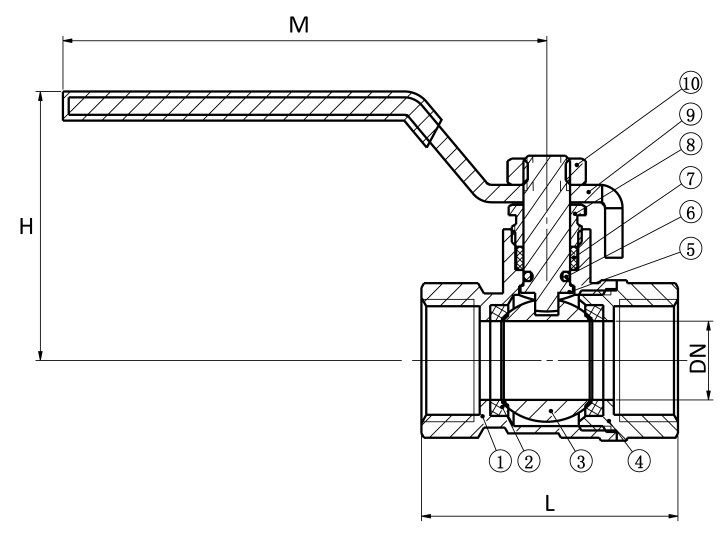 Section view