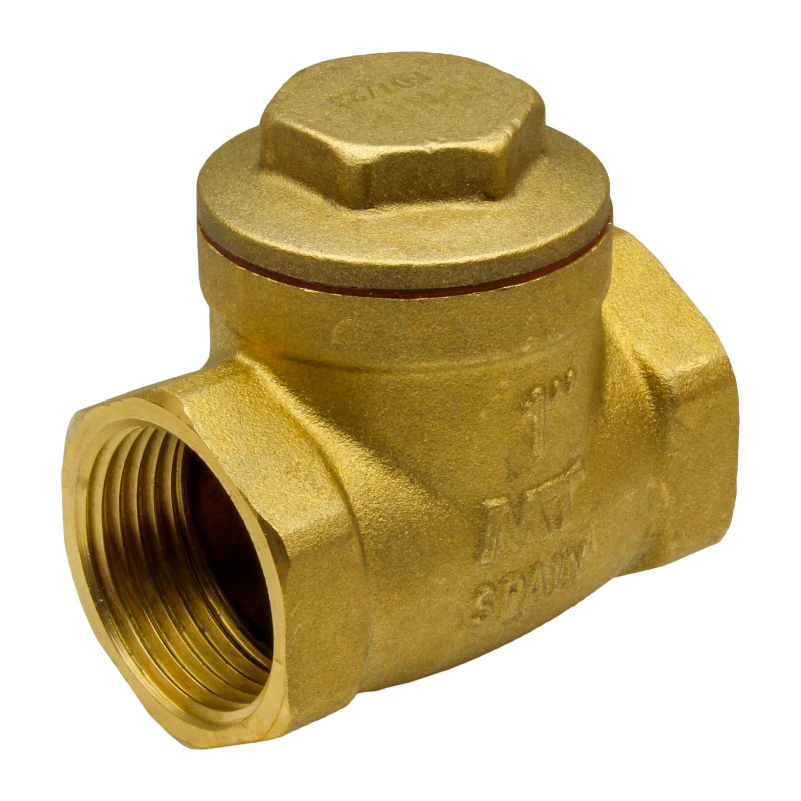 F-F Rubber Washer Swing Check Brass Valve NPT Thread