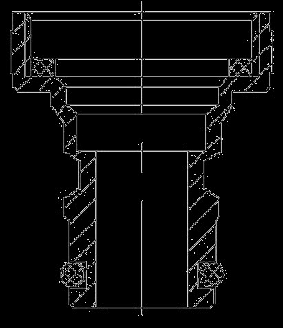 Section view