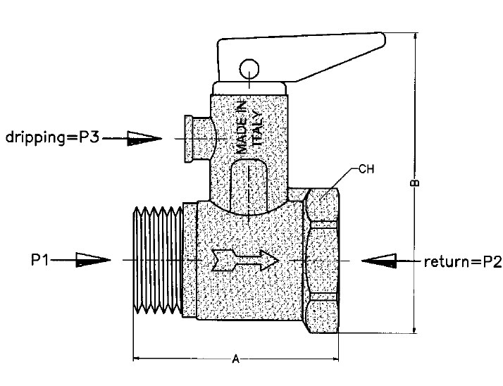 Section view